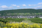 neumagen-dhron-004.jpg